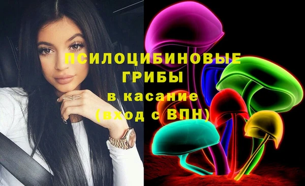 прущие грибы Кинешма
