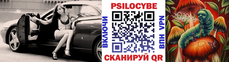 Купить закладки  Южно-Сухокумск  Галлюциногенные грибы Magic Shrooms 